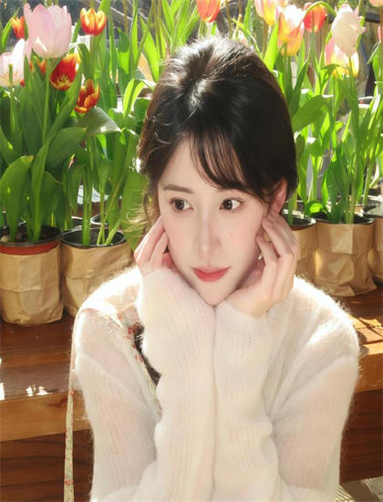 独家剖析：《恋爱兵法2012》背后的故事与启示——传统与现代的对话